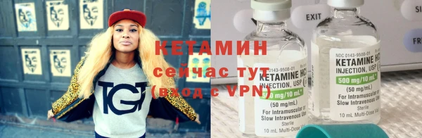 твердый Аркадак
