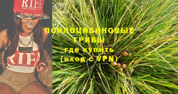 дмт Арсеньев