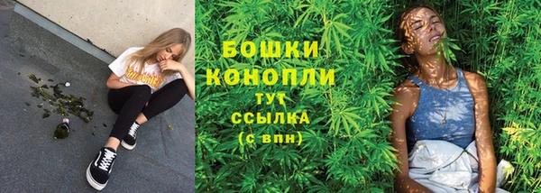 твердый Аркадак