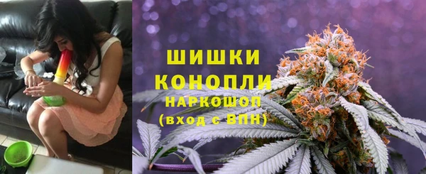 дмт Арсеньев