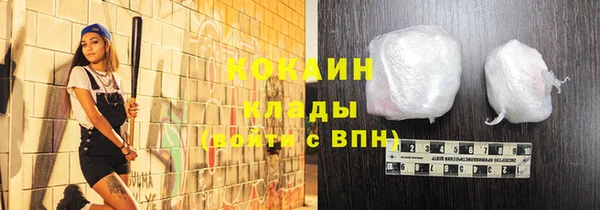 дмт Арсеньев