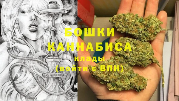 дмт Арсеньев