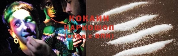 твердый Аркадак
